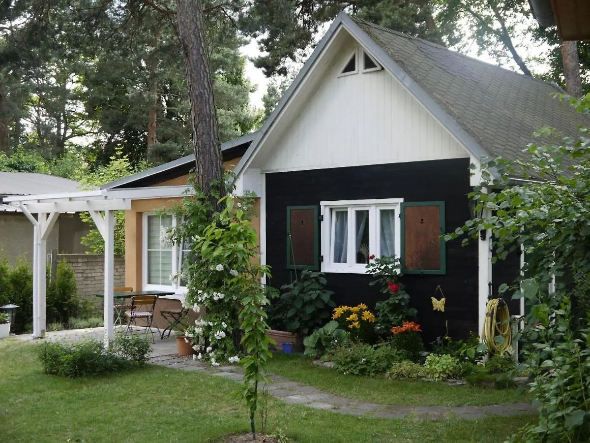 Vacation Home, Berlin 0*,